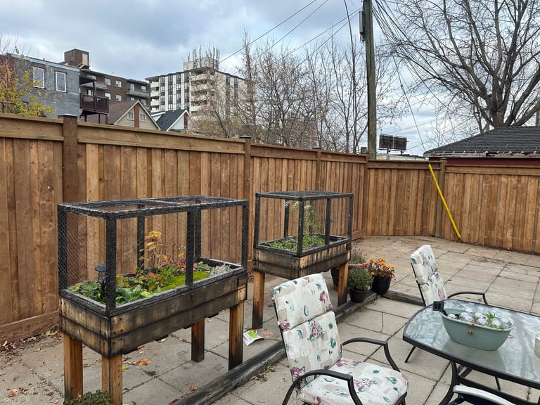 Backyard patio with wooden fence, raised garden beds, outdoor furniture, and city buildings visible in background